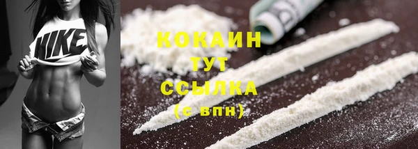 мяу мяу мука Тутаев